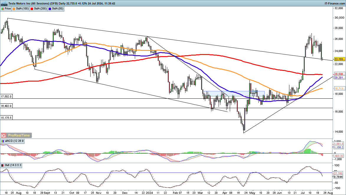 岭师健儿闪耀省大运会赛场